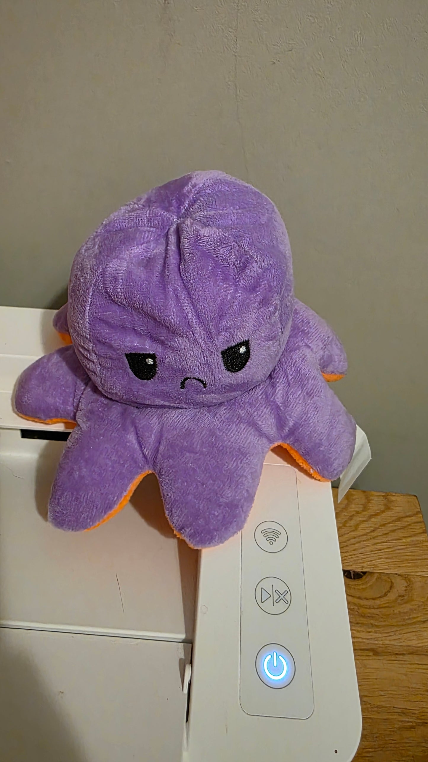 20cm reversible octopuses š