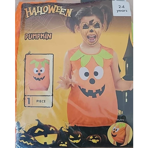 Pumpkin Halloween Costume Age 2-4 Years