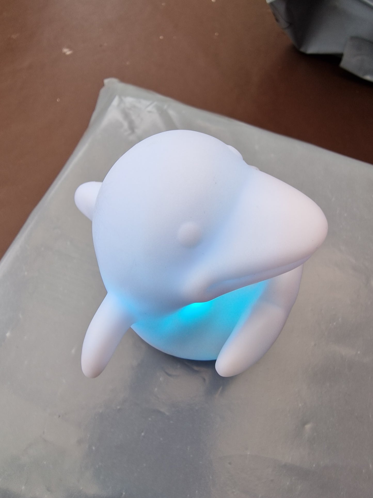 Small dolphin nightlights
